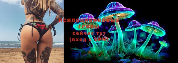 гашик Армянск