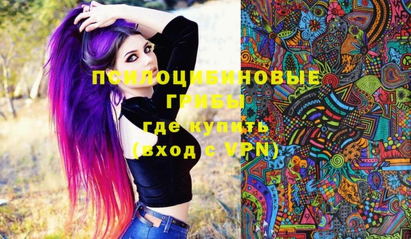 крисы Арсеньев