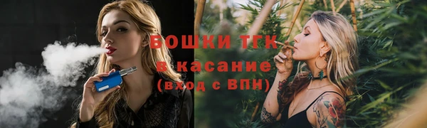 крисы Арсеньев