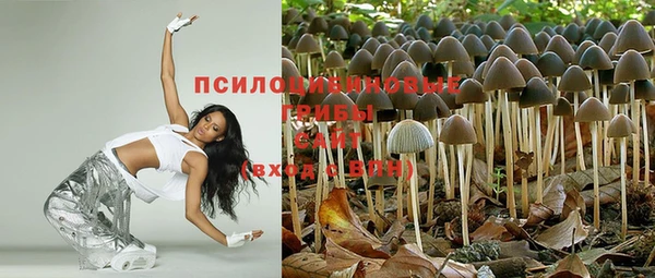 гашик Армянск