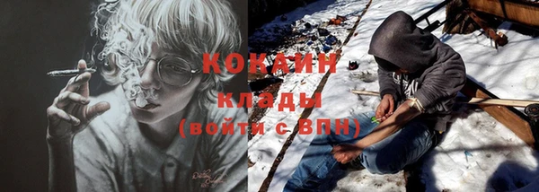 крисы Арсеньев