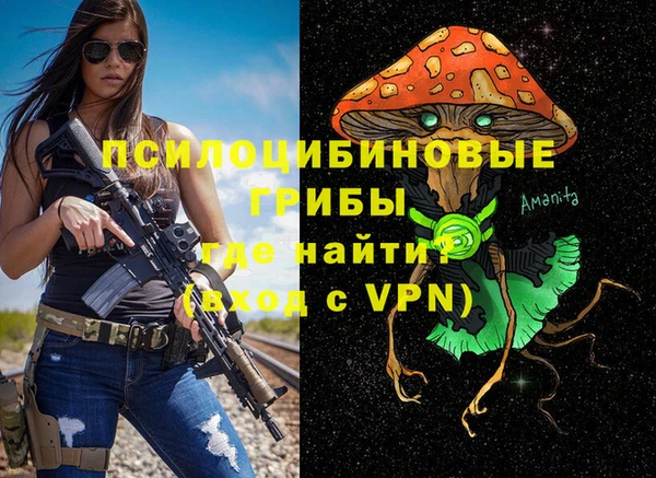 крисы Арсеньев