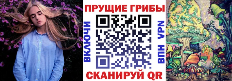 kraken ССЫЛКА  площадка официальный сайт  Галлюциногенные грибы прущие грибы  Афипский 