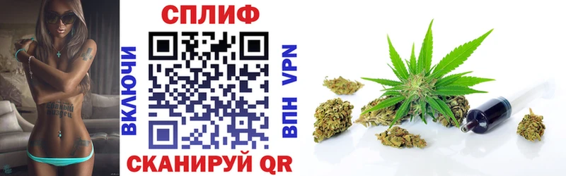 Бошки Шишки планчик Афипский